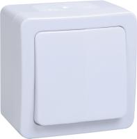 Гермес Плюс белый переключатель 1кл открытая 10А IP54 