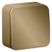 Бланка выключатель открытая титан 1кл 10А IP20 