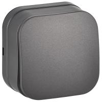 Глори сталь выключатель 1кл открытая 10А IP20 