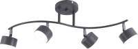 https://catalog.raec.su/media/images/e65/e65f66d91d17a39b51e8c4ecbb73062e.jpg