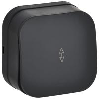 Глори черный переключатель 1кл открытая 10А IP20 