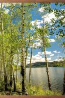 Обогреватель инфракрасный 500Вт Домашний очаг Берёзка