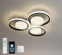 Светильник потолочный (люстра) свд 100Вт 3000-6500К 12000лм белый/черный пульт API